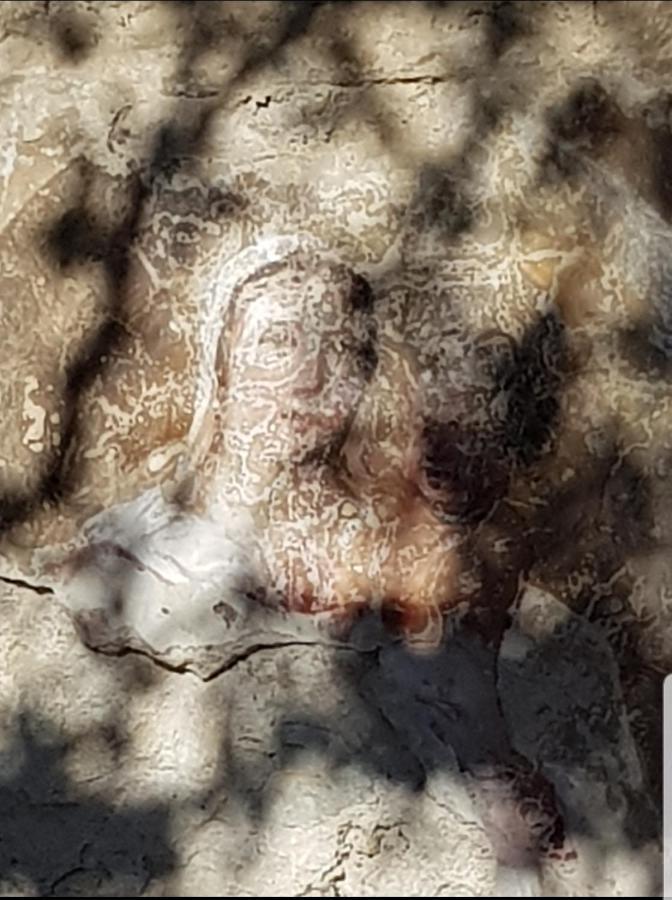Chambre D'Hote Geiko Cabrieres-d'Aigues Bagian luar foto